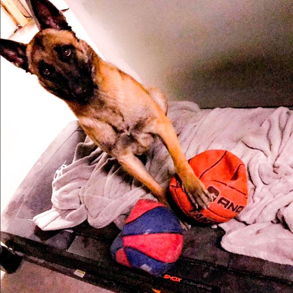 Meet your Posher, Theresa